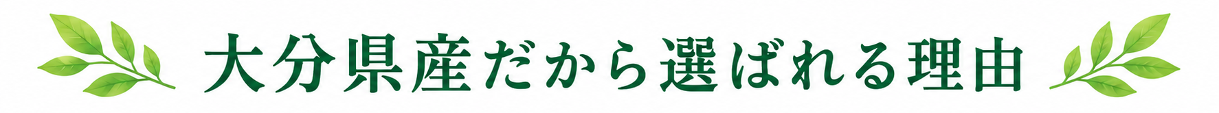 大分県産大麦若葉・ケールへのこだわり